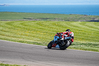 anglesey-no-limits-trackday;anglesey-photographs;anglesey-trackday-photographs;enduro-digital-images;event-digital-images;eventdigitalimages;no-limits-trackdays;peter-wileman-photography;racing-digital-images;trac-mon;trackday-digital-images;trackday-photos;ty-croes